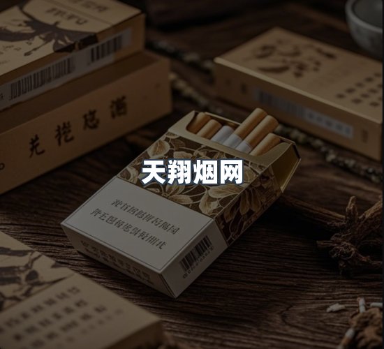 关于天翔烟网